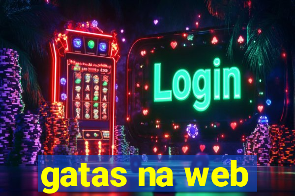 gatas na web